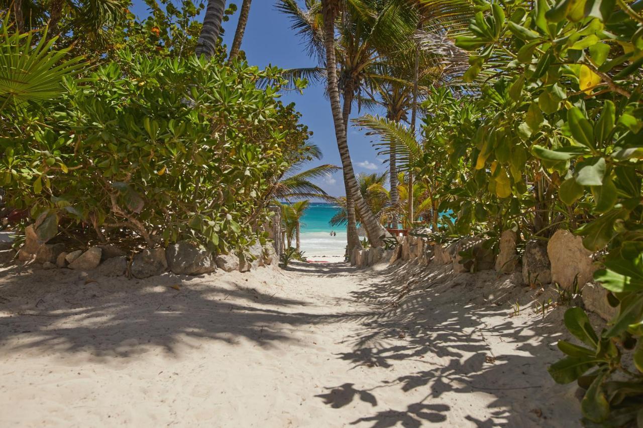 Dos Ceibas Tulum - Massage & Yoga Inclusive Otel Dış mekan fotoğraf