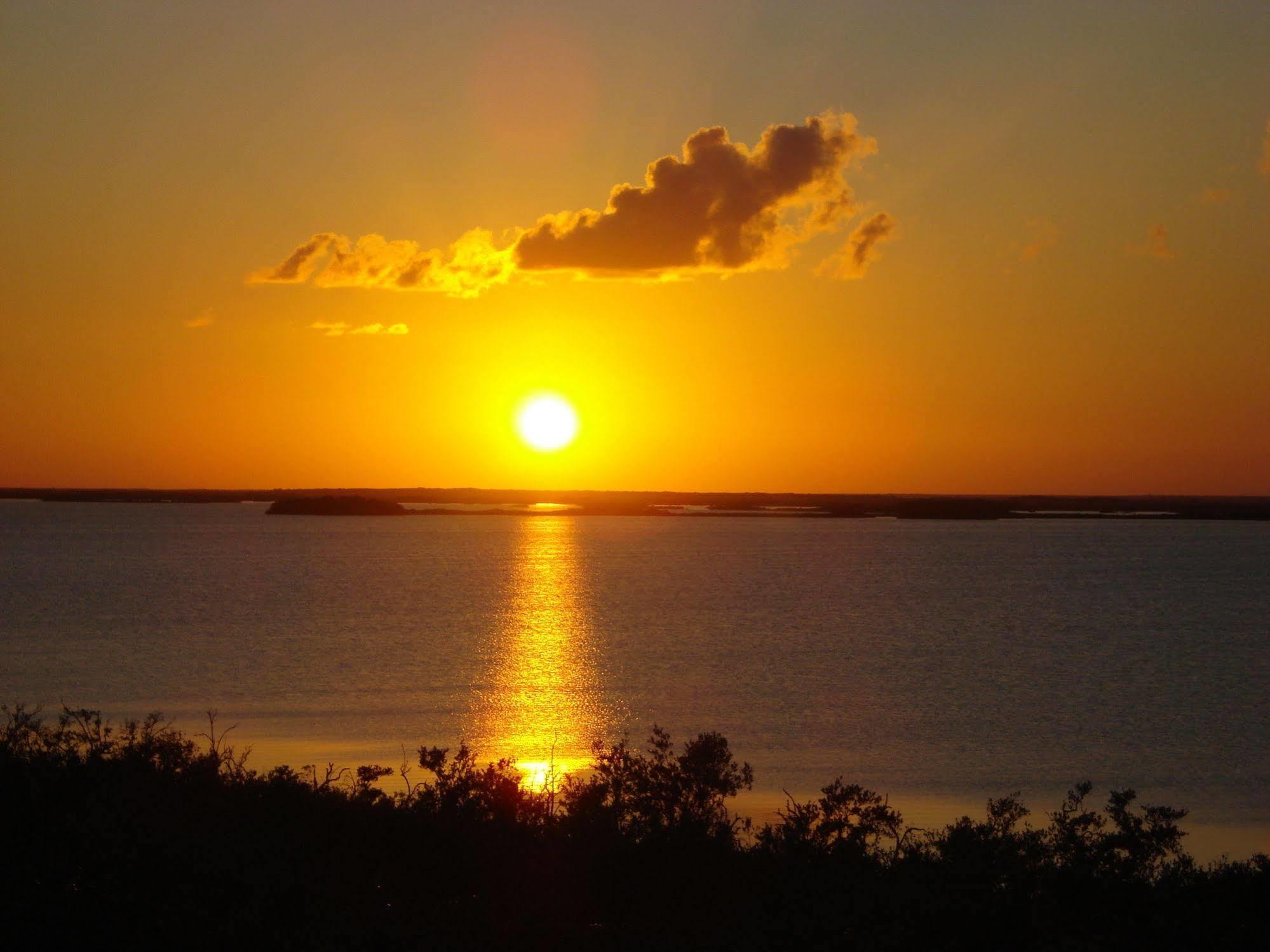 Dos Ceibas Tulum - Massage & Yoga Inclusive Otel Dış mekan fotoğraf