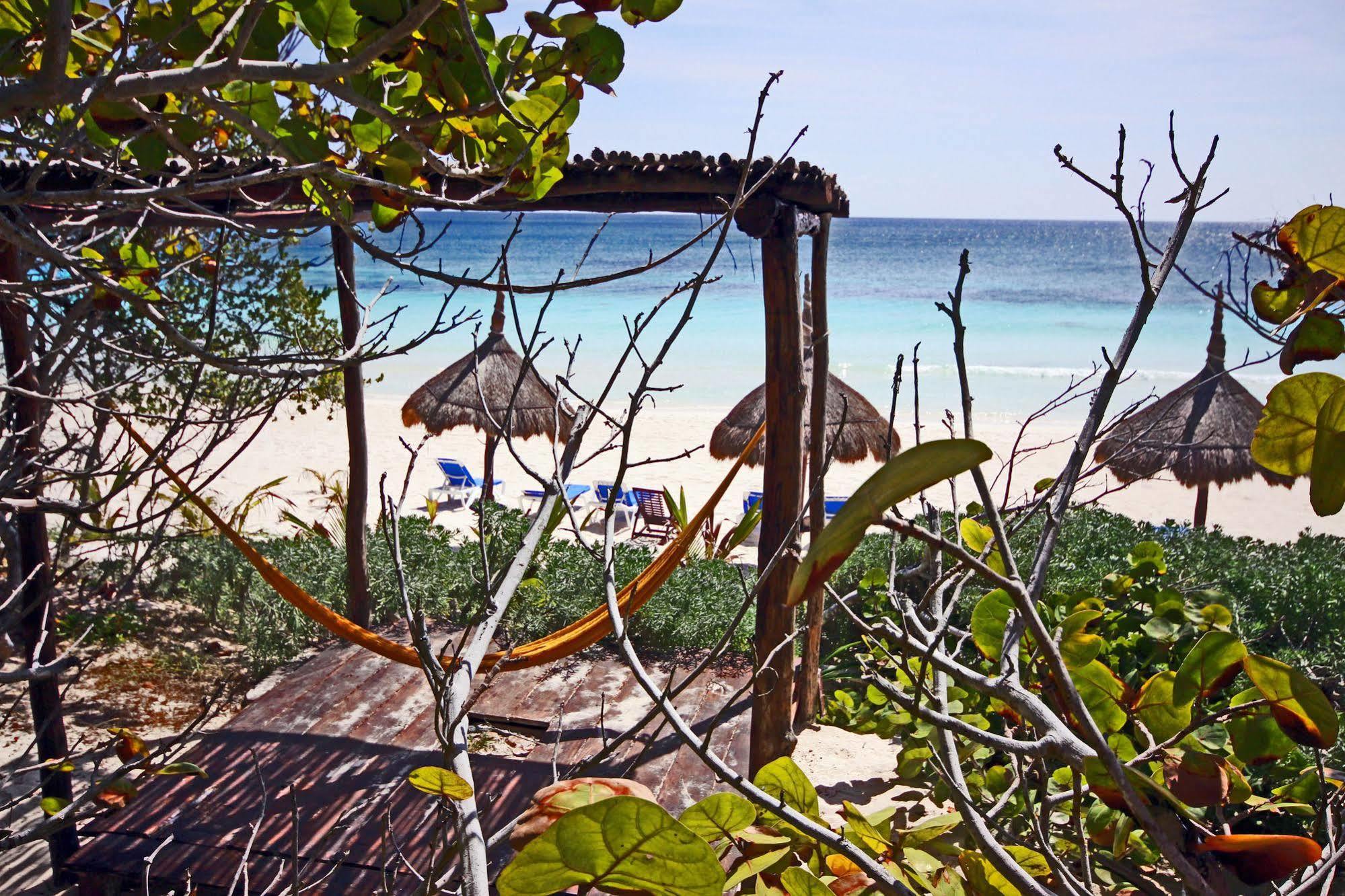 Dos Ceibas Tulum - Massage & Yoga Inclusive Otel Dış mekan fotoğraf