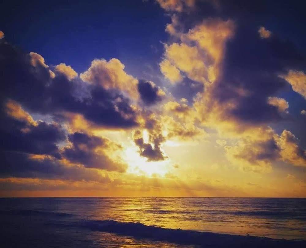Dos Ceibas Tulum - Massage & Yoga Inclusive Otel Dış mekan fotoğraf